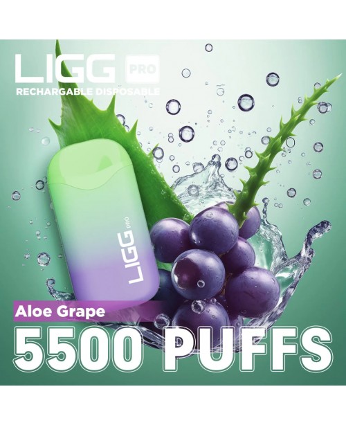 Ligg Pro 5500 Puffs Disposable Vape - Aloe Grape
