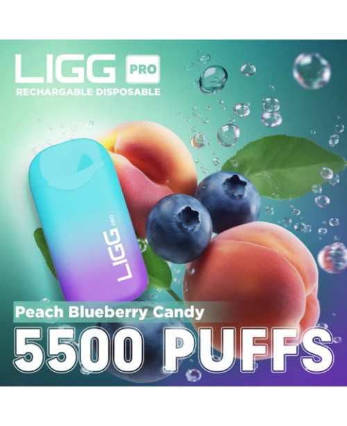 Ligg Pro 5500 Puffs Disposable Vape - Peach Bluebe...
