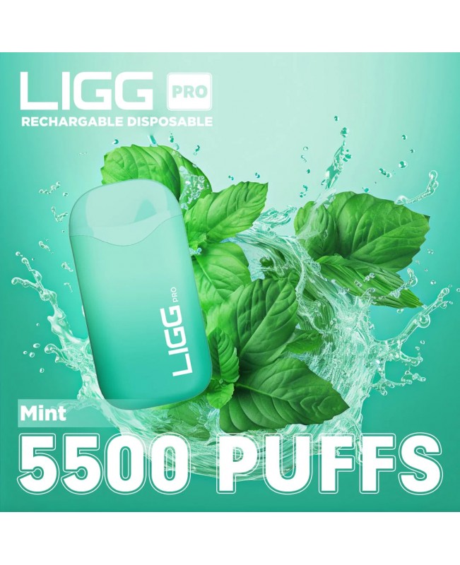 Ligg Pro 5500 Puffs Disposable Vape - Mint